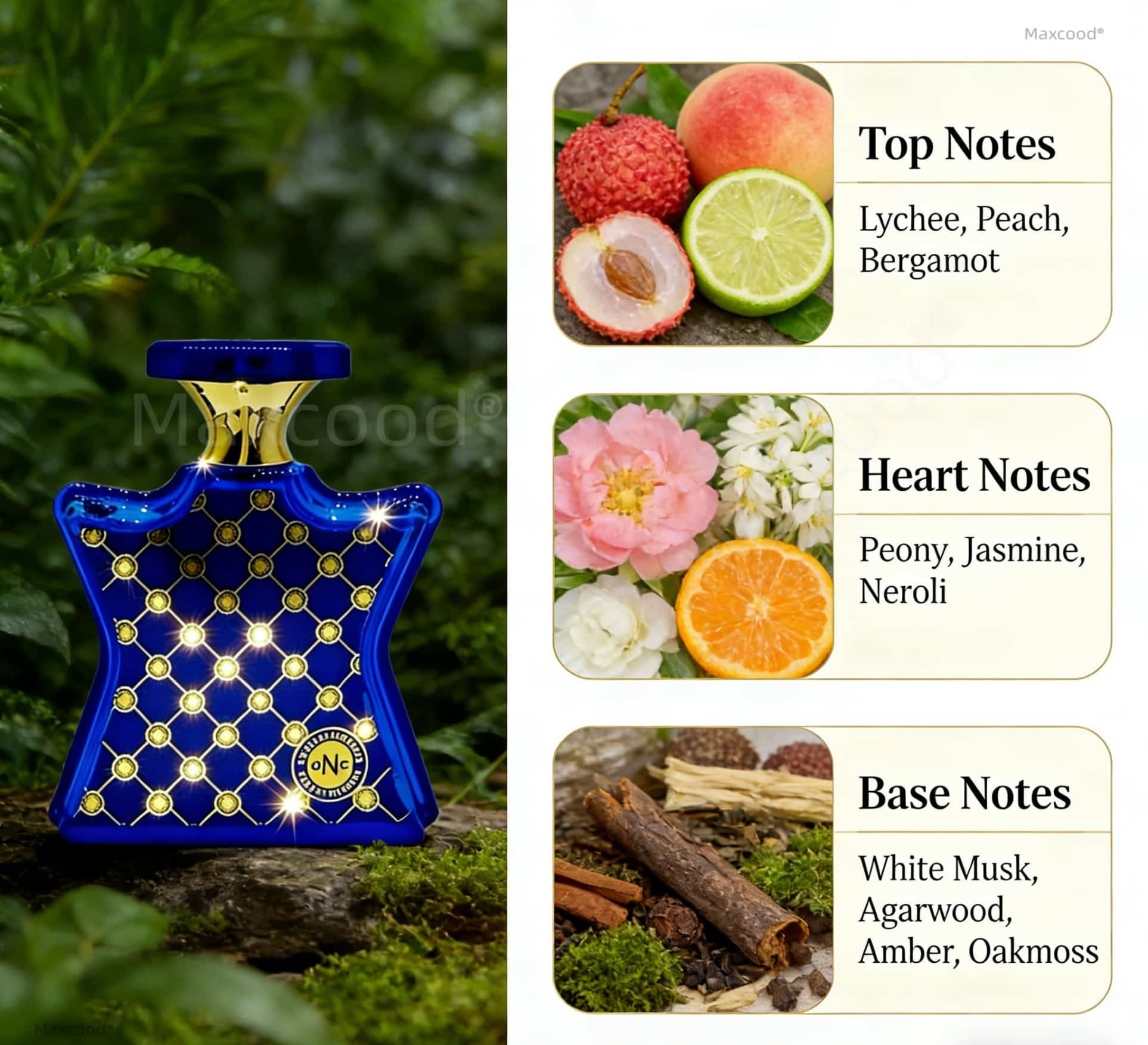 감귤과 꽃향기 향수, 오래 지속되는 향, 일상 사용에  - Perfume Floral Fragrance 리뷰 및 가격